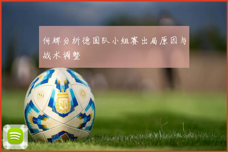 何辉分析德国队小组赛出局原因与战术调整