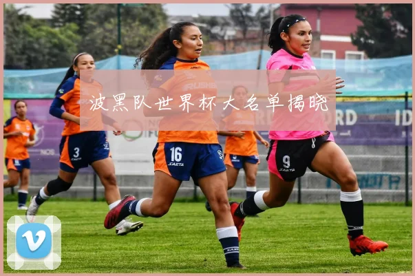 波黑队世界杯大名单揭晓