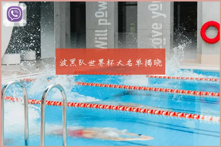 波黑队世界杯大名单揭晓