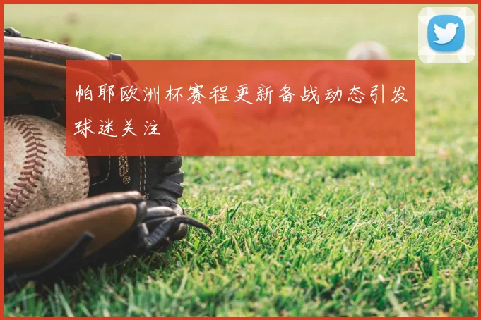 帕耶欧洲杯赛程更新备战动态引发球迷关注