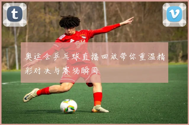 奥运会乒乓球直播回放带你重温精彩对决与赛场瞬间